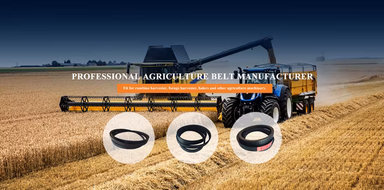 Cogged Industrial Rubber Auto Gear Chain Poly PU Motorcycle Transmission Parts Fan Conveyor Synchronous Tooth Drive Pk Timing Ribbed Wrapped Banded V Belt